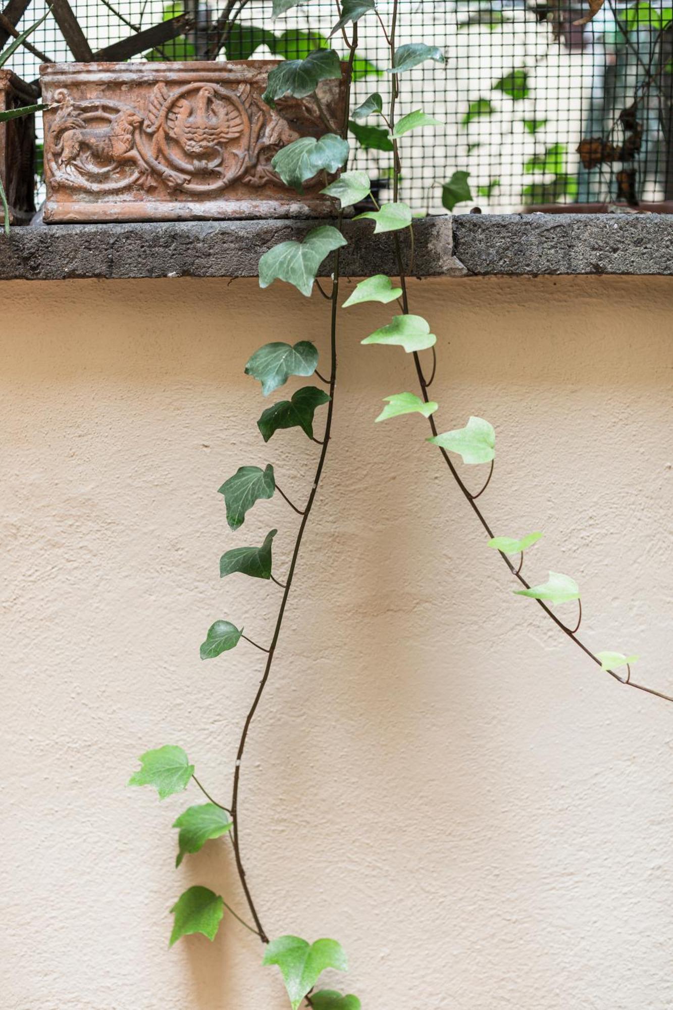 San Pietro Garden House Apartment Rome Bagian luar foto